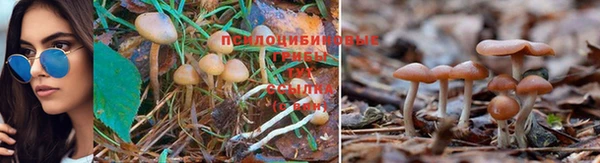 СК Балахна