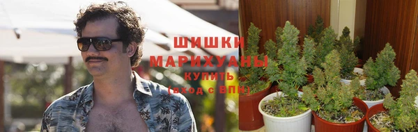 ешки Белоозёрский