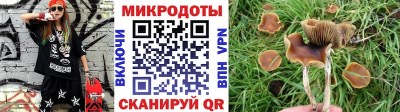 Галлюциногенные грибы прущие грибы  Майский 